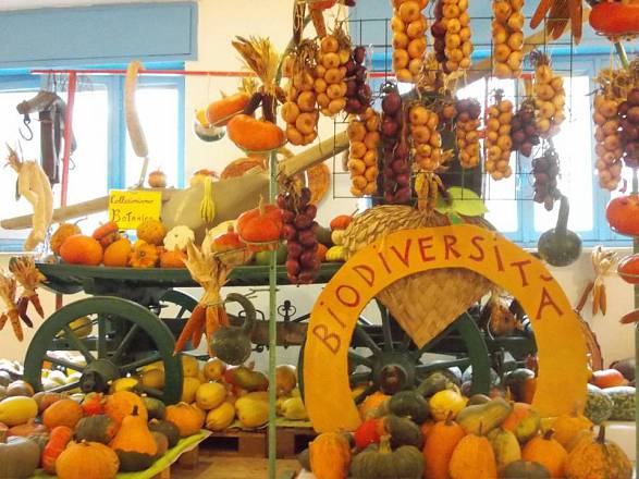 La casa delle zucche in festa